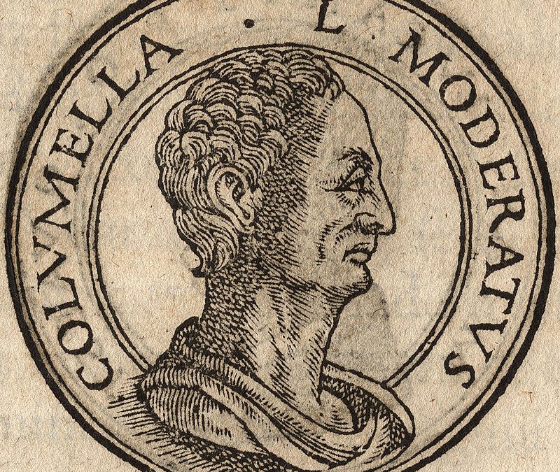 Colum.